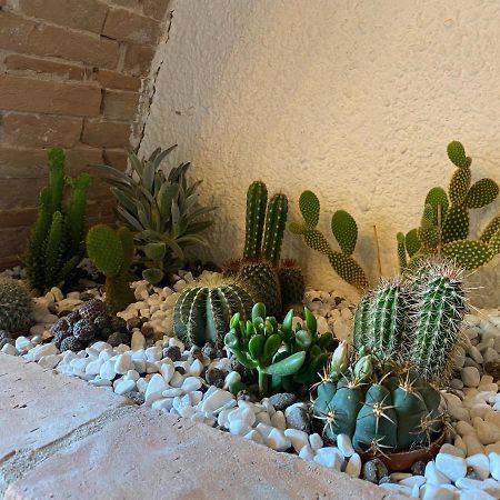 Cactus Suite Пиза Экстерьер фото