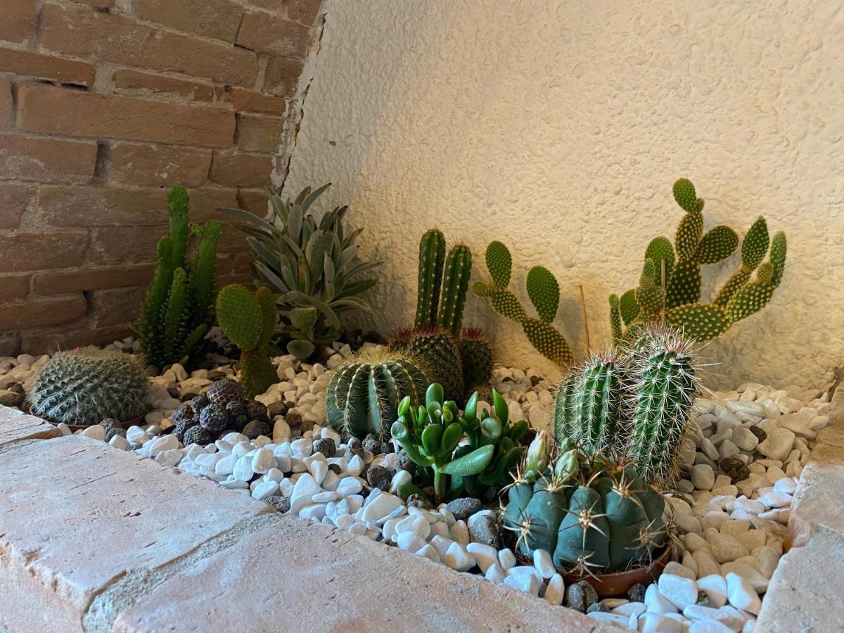 Cactus Suite Пиза Экстерьер фото